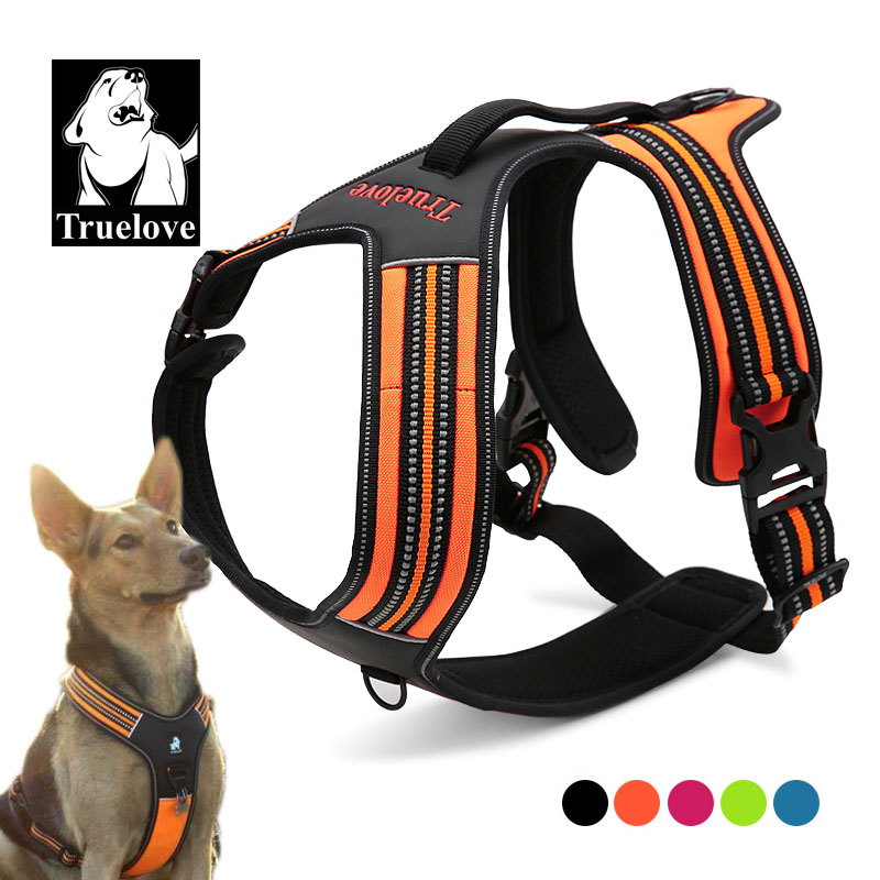 Truelove Sport Nylon Reflectiv - đánh giá và giá Outdoor Adventure Xl